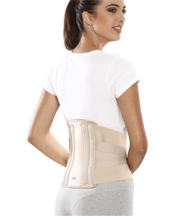 Contoured L S Belt